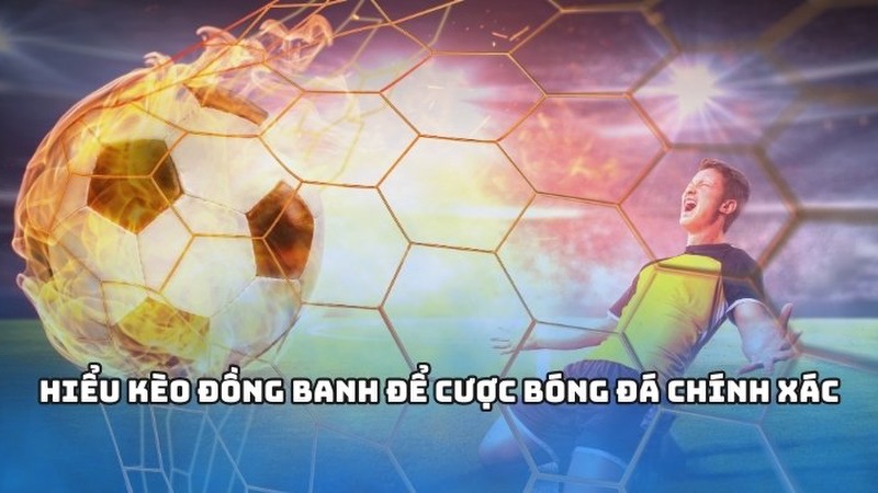 Quan trọng nhất là phải hiểu thì mới tham gia đặt cược được Quan trọng nhất là phải hiểu thì mới tham gia đặt cược được