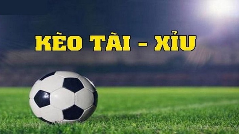 Có khá nhiều dạng kèo để người chơi lựa chọn Có khá nhiều dạng kèo để người chơi lựa chọn
